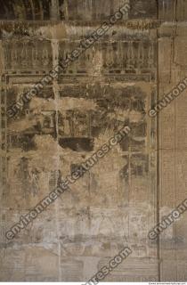 Photo Texture of Habu 0080